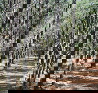 Yana-y Warruwi Walking Track - Tourism Search