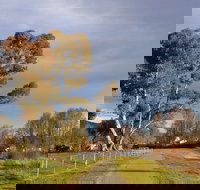 Adelong Falls Walk - Tourism Search