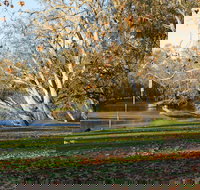 Albury - Tourism Search