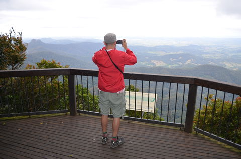 Best Of All Lookout Track, Springbrook National Park - Tourism Search 0