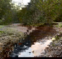Budawang National Park - Tourism Search