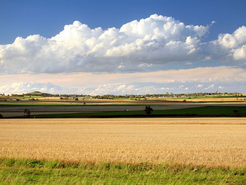 Cambooya - Tourism Search 2