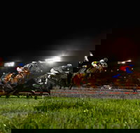 Canterbury Park Racecourse - Tourism Search