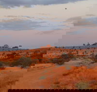 Castle Rock walk and Lookout - Tourism Search