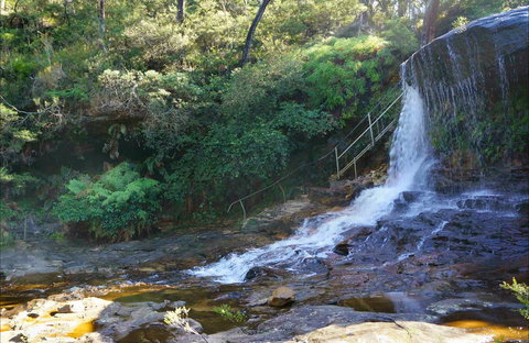 Charles Darwin Walk - Tourism Search 0