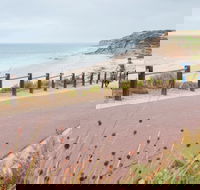 Coast to Vines Rail Trail - Tourism Search