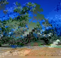 Comet - Tourism Search