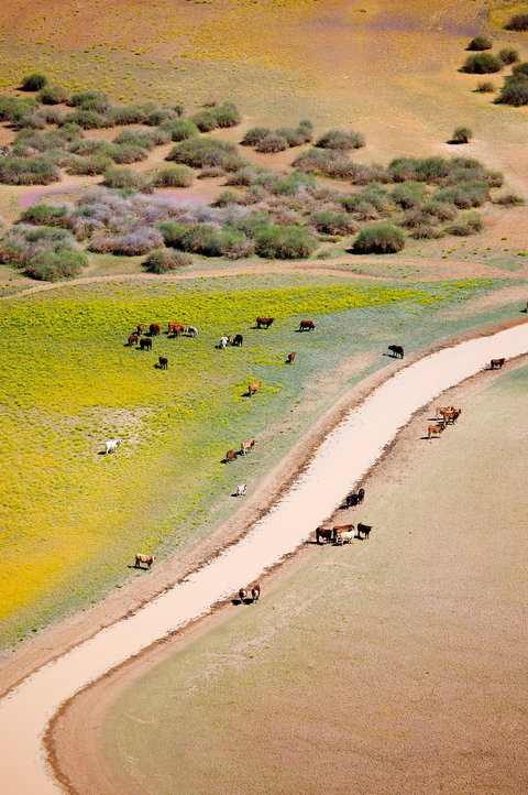 Cuttaburra Crossing - Tourism Search 1