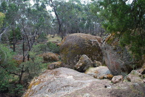 Dergholm State Park - Tourism Search 0
