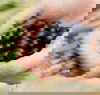 Eat Pick Grow Trail - Wanneroo and Chittering - Tourism Search