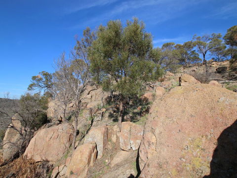 Eldorado And The Woolshed Valley - Tourism Search 2