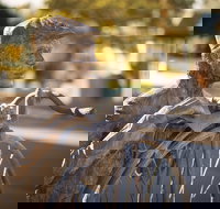 Evandale - Tourism Search