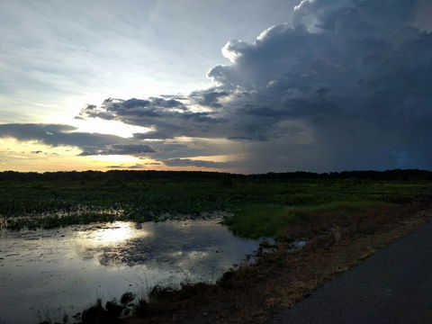 Fogg Dam Conservation Reserve - Tourism Search 2