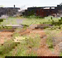 Ghans Bore No7 Govt Bore - Tourism Search