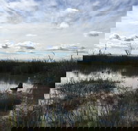 Gwydir Wetlands Moree - Tourism Search