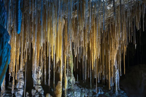 Hastings Caves And Thermal Springs - Tourism Search 0
