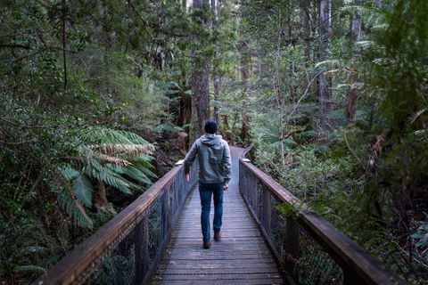 Hastings Caves And Thermal Springs - Tourism Search 1