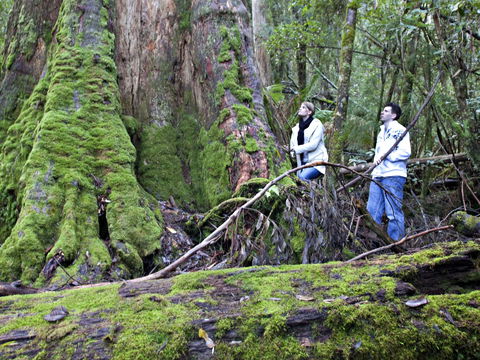 Hastings Caves And Thermal Springs - Tourism Search 2