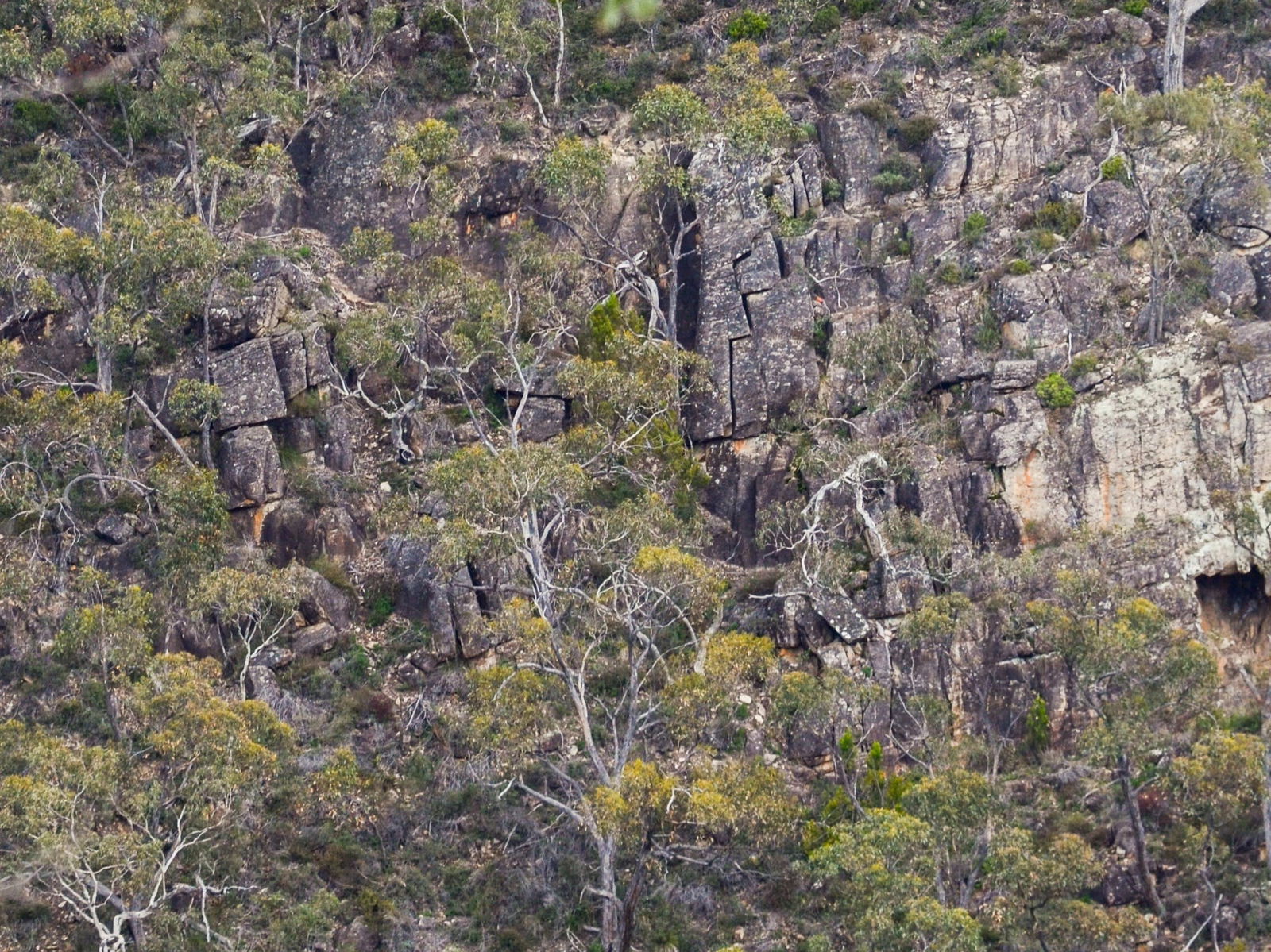 Horsnell Gully SA Tourism Search