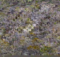 Horsnell Gully and Giles Conservation Parks - Tourism Search