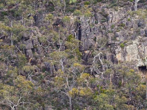 Horsnell Gully And Giles Conservation Parks - Tourism Search 0