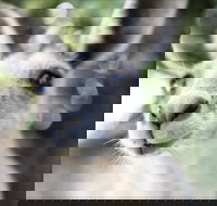 John Egan Pioneer Track - Tourism Search