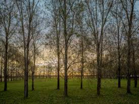 John Tucker Park - Tourism Search 1