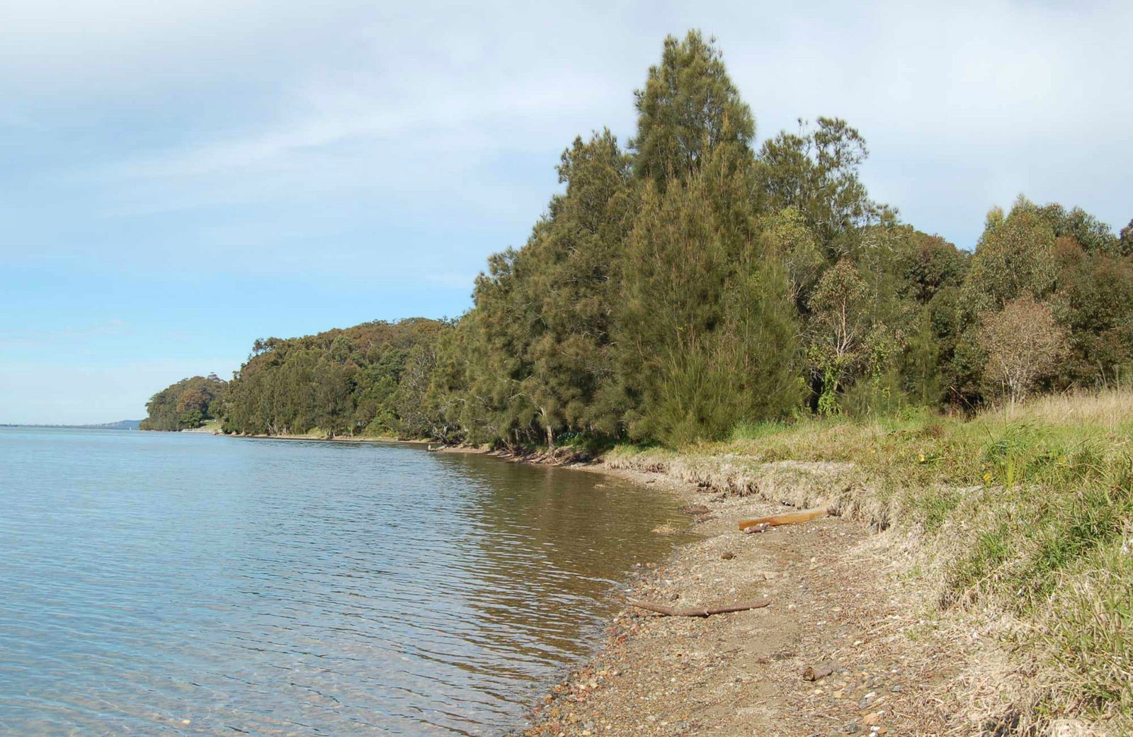 Yarrawonga Park NSW Tourism Search