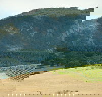 Langi Ghiran State Park - Tourism Search