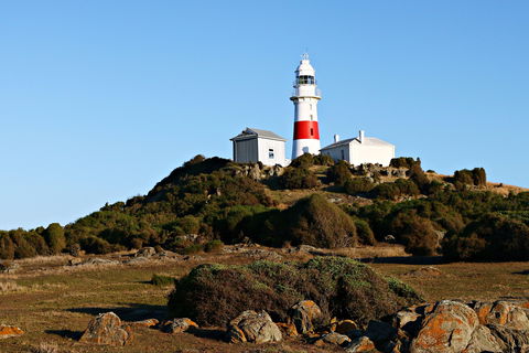 Low Head Foghorn - Tourism Search 1