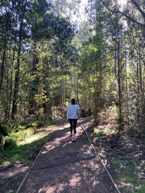 Lyrebird Circuit Walk - Tourism Search 0