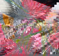 Mokoan Rest Stop Northbound - Tourism Search