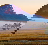 Mount Barney National Park - Tourism Search