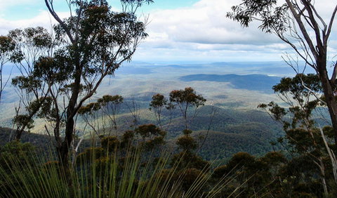 Mount Imlay National Park - Tourism Search 0