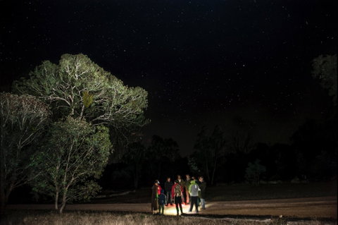 Mulligans Flat Woodland Sanctuary - Tourism Search 1