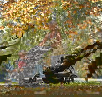 Noreuil Park - Tourism Search