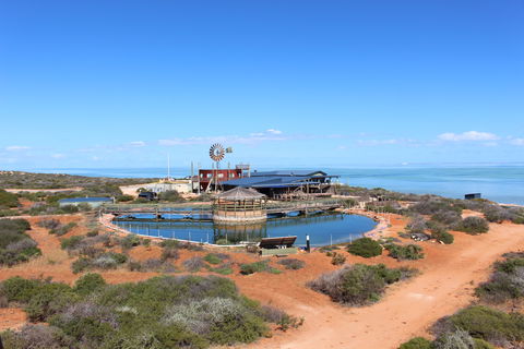Ocean Park Aquarium - Tourism Search 1