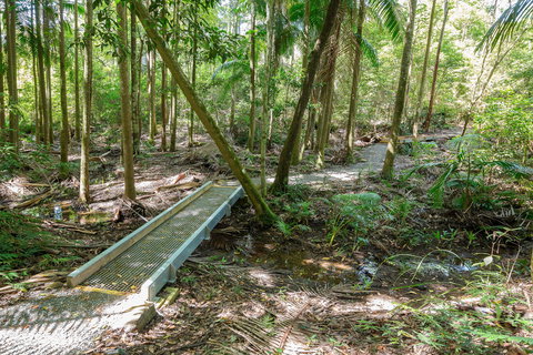 Old Bottlebutt - Tourism Search 0