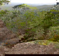 Pigeon House Mountain Didthul Walking Track - Tourism Search