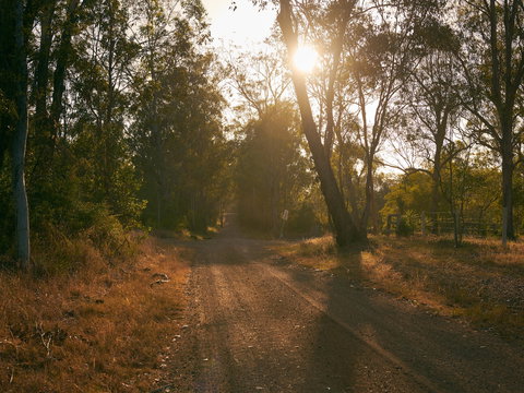 Raysource Road - Tourism Search 1