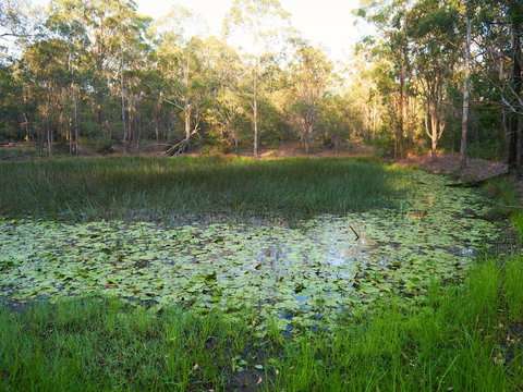 Raysource Road - Tourism Search 2