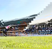 Rosehill Gardens Racecourse - Tourism Search