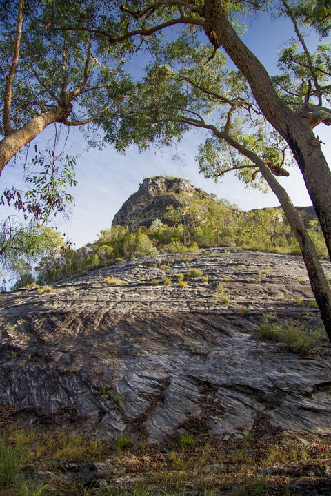 Salvator Rosa, Carnarvon National Park - Tourism Search 1