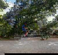 Samford Valley Rail Trail - Tourism Search