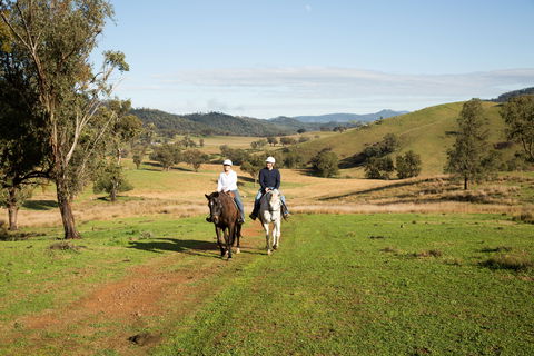 Tamworth And Kootingal Horse Riding Adventures - Tourism Search 0