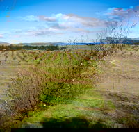 Tarago Truffles - Tourism Search