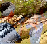 Taranna - Tourism Search