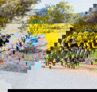 The Heron's Highway - Avon River Cycle Trail - Tourism Search