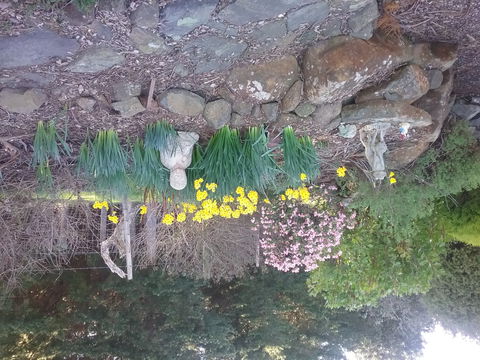 The Quiet Cone - Sound & Relaxation Centre - Tourism Search 2