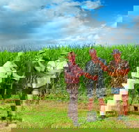 The Shed Gallery - Tourism Search